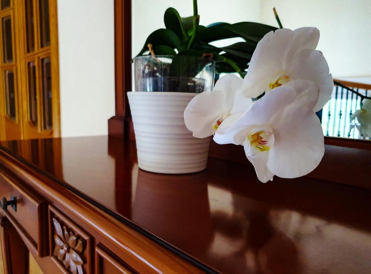 Villa Tres Palmeras En Alfaz Del Pi , Albir, Benidorm ラルファス・デル・ピ エクステリア 写真