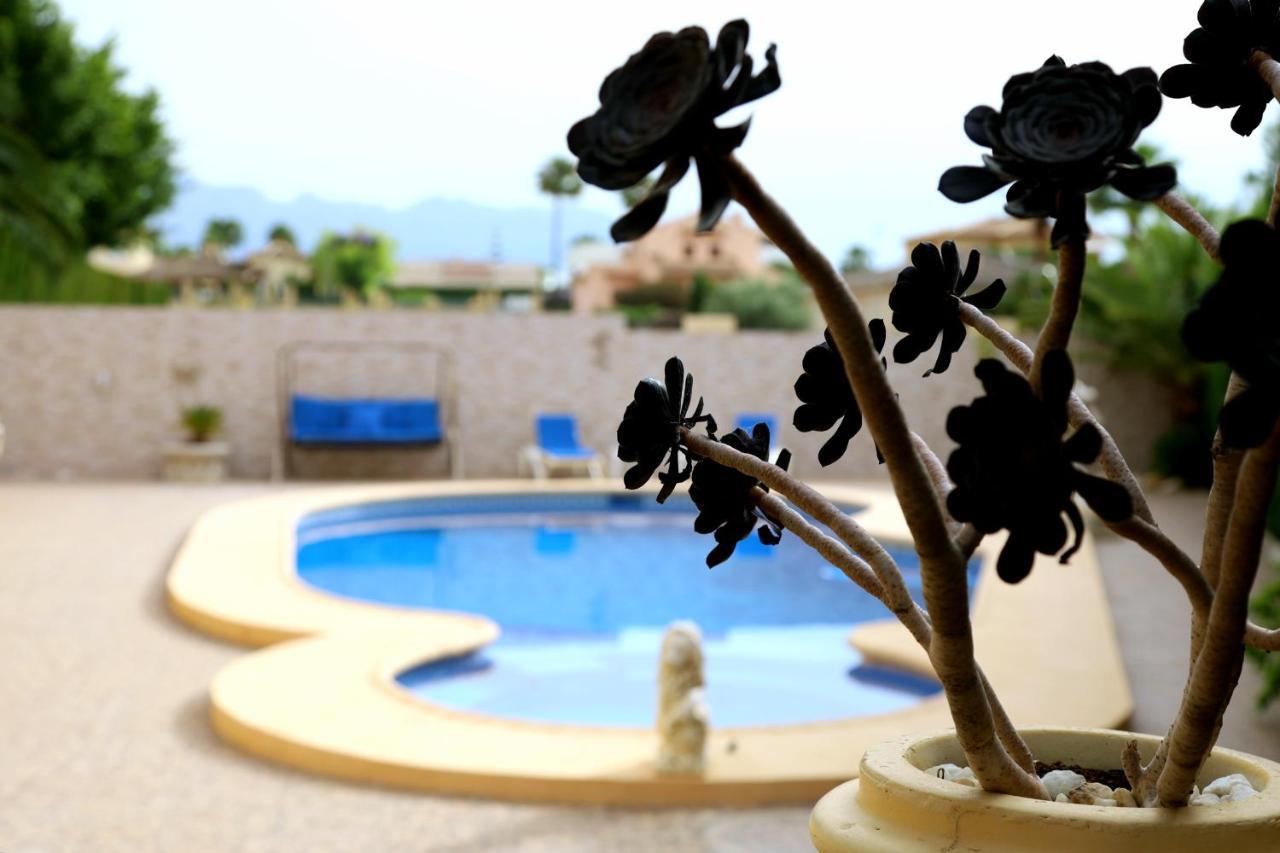 Villa Tres Palmeras En Alfaz Del Pi , Albir, Benidorm ラルファス・デル・ピ エクステリア 写真